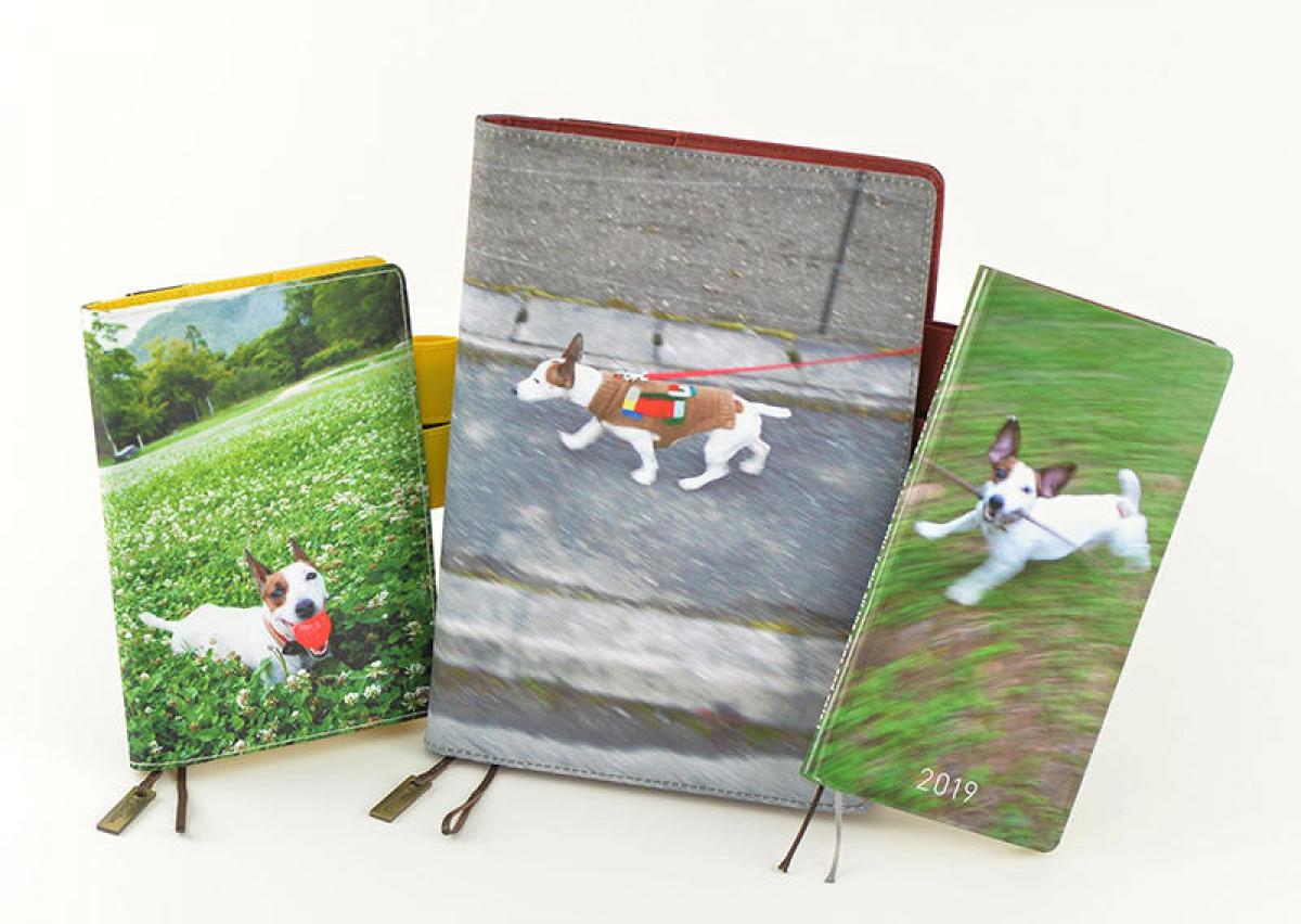 新製品】糸井重⾥の愛犬をモチーフにした「ほぼ日手帳」カバー発売｜