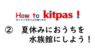 【ニュース】キットパスの使い方動画「How to Kitpas！」②夏休みにおうちを水族館にしよう