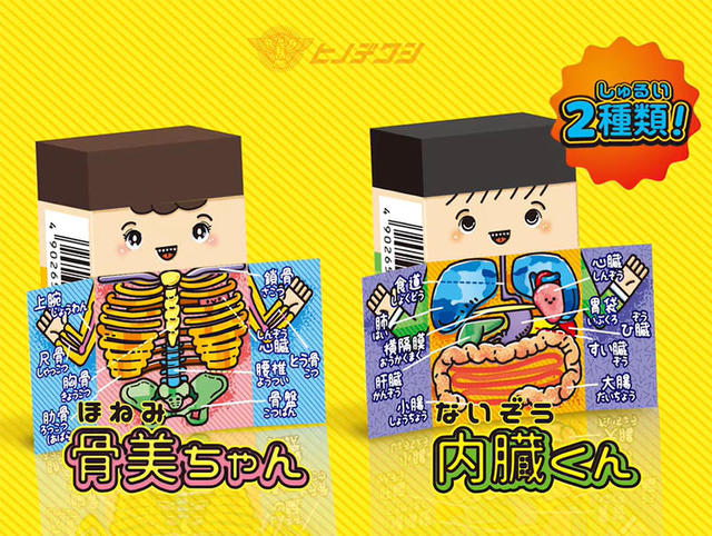 新製品 ケースが開く消しゴム 人体くん 内臓くんと骨美ちゃん 新製品 ケースが開く消しゴム 人体くん 内臓くんと骨美ちゃん