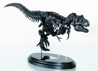 【新製品】目の前に最強恐竜の骨格が蘇る！ 「科学」の学研から究極のティラノサウルスキット新発売！