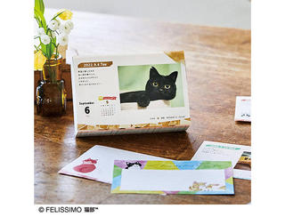【新製品】猫の写真とエッセイの日めくりカレンダー「まいにちにゃんこ2022」