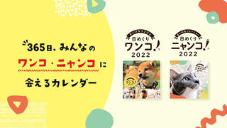 【新製品】全国の愛犬家・愛猫家からの応募写真でつくった日めくり式カレンダー