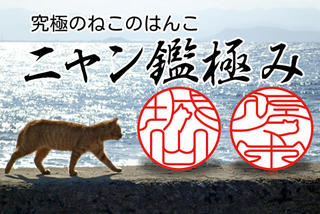 【新製品】文字の一部が猫の輪郭となった猫はんこ「ニャン鑑極み」