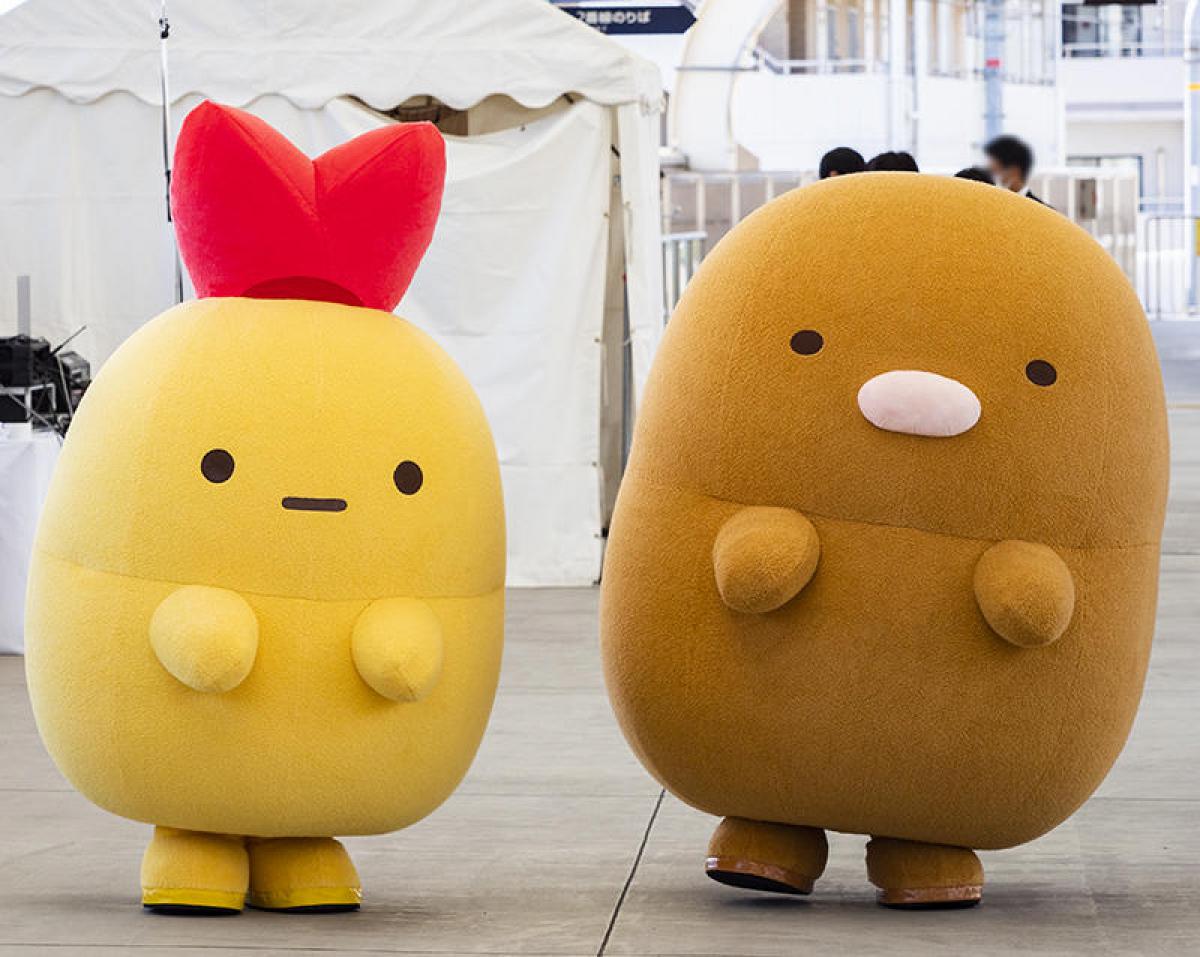 京急 てのりぬい セット すみっコぐらし すみっコぐらし - 【限定】すみ