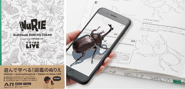 C62-083 学研の図鑑 昆虫 学習研究社 記名塗りつぶしあり、傷
