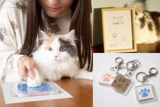 【新製品】部屋が汚れない、いぬ・ねこ足形キット「ぺたっち 犬猫用」