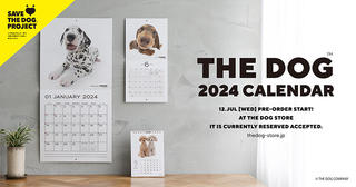 【新製品】「THE DOG™」2024年犬種別カレンダー予約受付開始