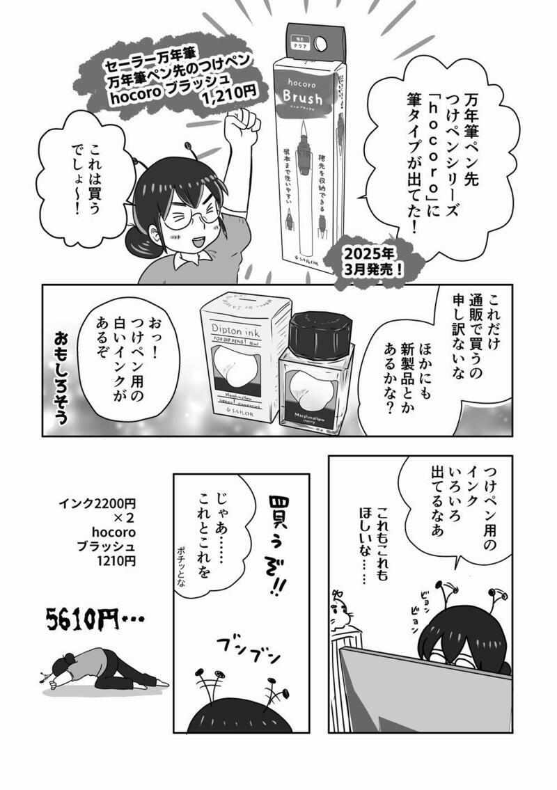 95_hocoroブラッシュ01_1000.jpg