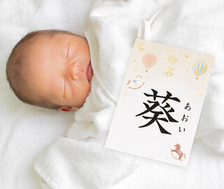 【新製品】A4サイズに加えハガキサイズが新登場「IJ命名用紙 木馬」