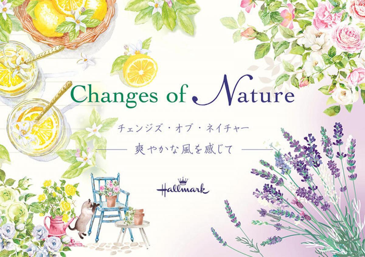 新製品】新緑から初夏シーズンの手紙を爽やかに彩る人気レターシリーズ