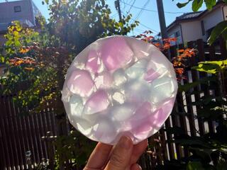 【コレ注目！】チーズの丸い容器が