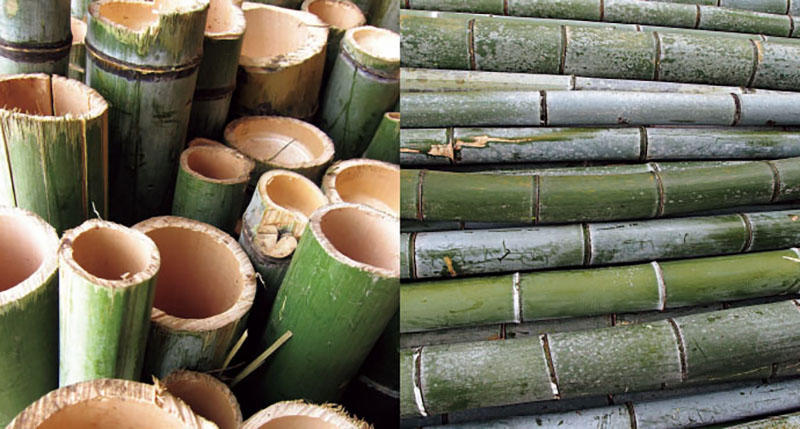 伐採された竹材のイメージ.jpg