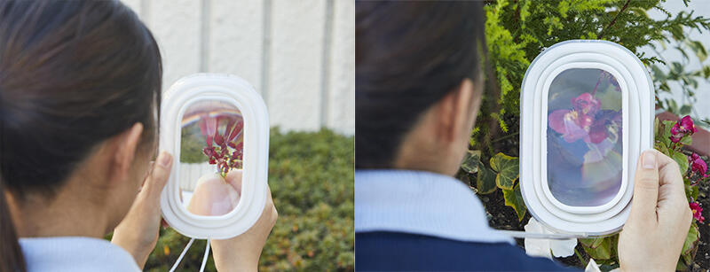 ルーペスコープ：観察物が動かせるとき のコピー.jpg