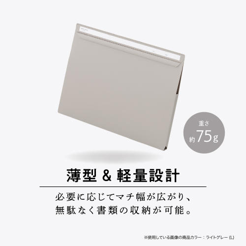 SEL-2801_R8_500.jpg