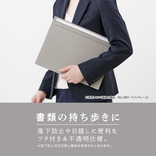 SEL-2801_R7_500.jpg