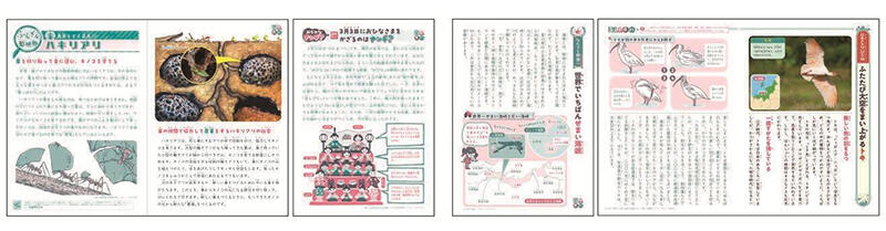 ジャポニカ4.jpg