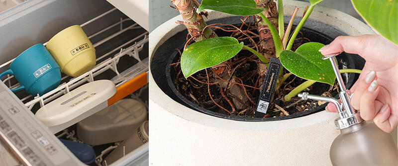 DSC09522 のコピー.jpg