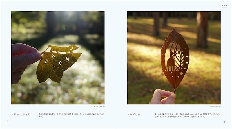 1183263ebeb4700c1745372458のコピー.jpg