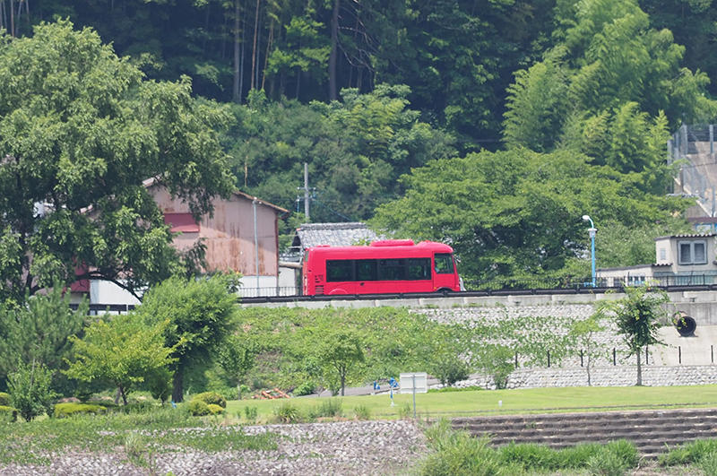 P7201695.jpg
