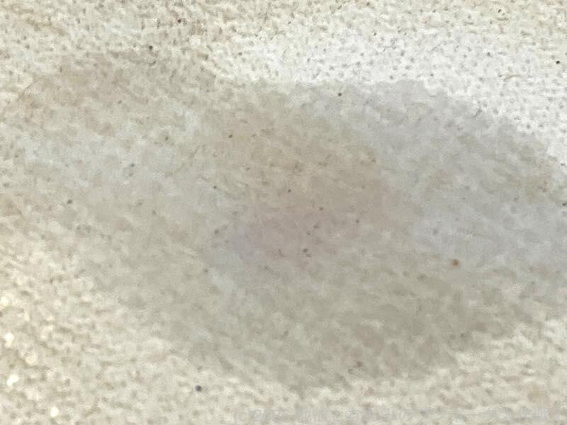 photo12.jpg